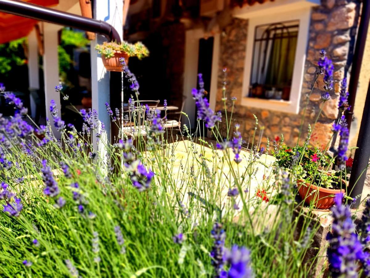 Apartman Pelcic,With Wifi And Free Parking Kostrena Exteriér fotografie